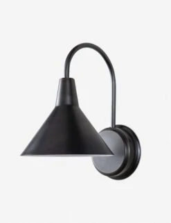 Dublin Sconce By Regina Andrew