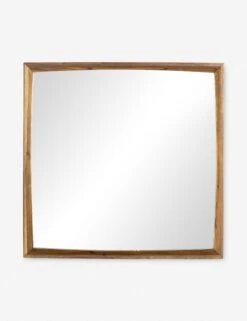 Nielsen Mirror