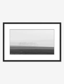 You'll Find Her South Of The Bayou Photography Print By Toni Toscano