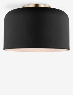 Olaf Flush Mount Light