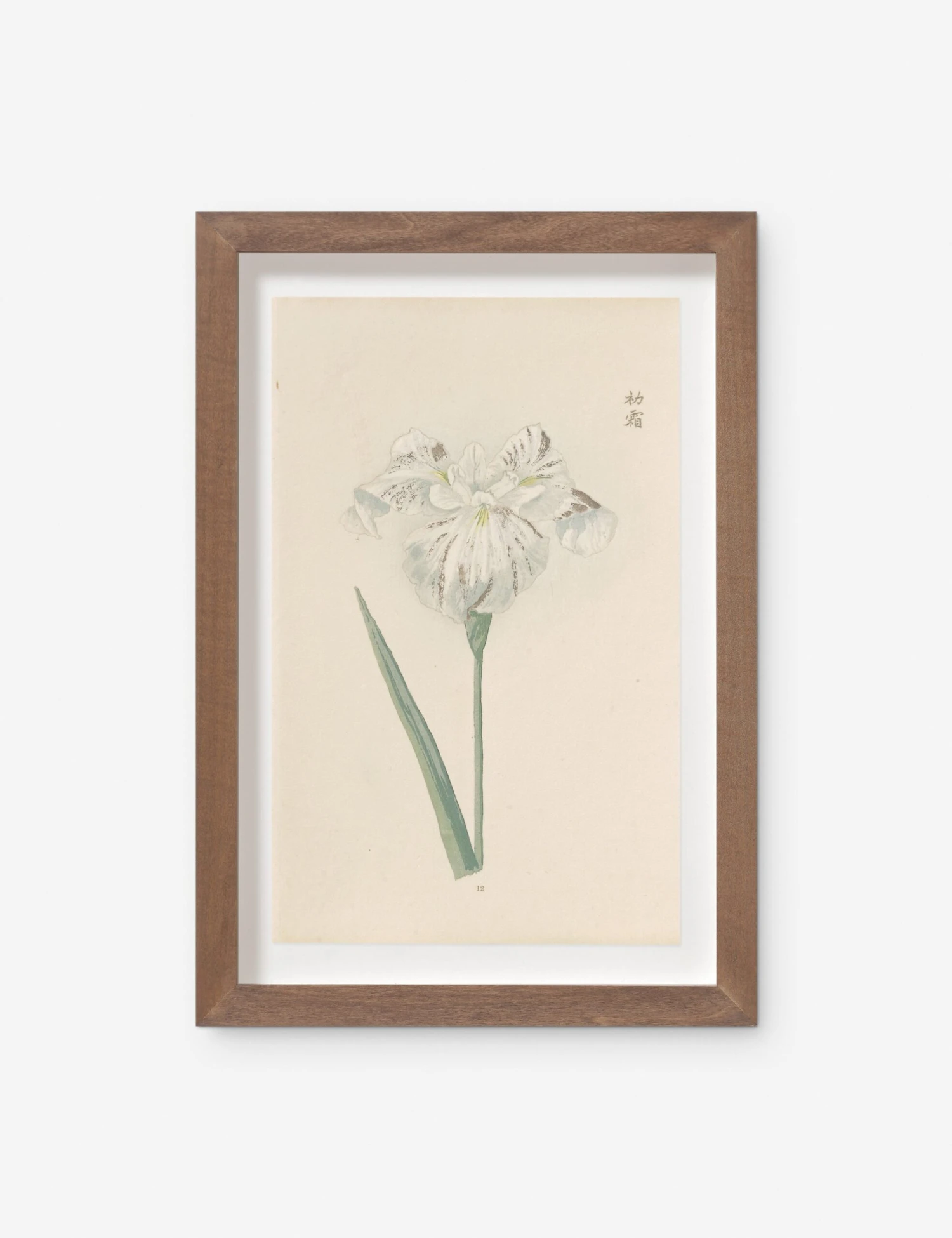 Vintage Japanese Iris No. 12 Wall Art By Miyoshi Manabu