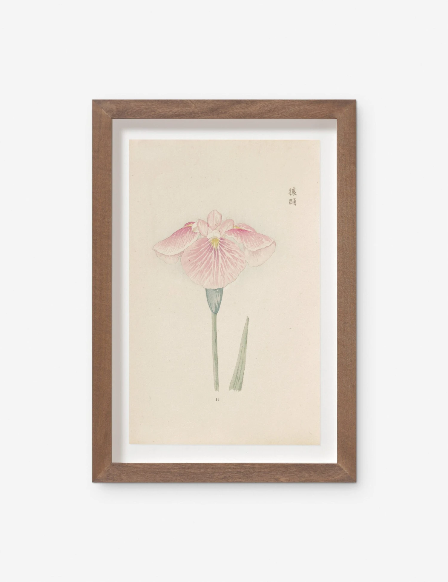 Vintage Japanese Iris No. 14 Wall Art By Miyoshi Manabu