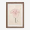 Vintage Japanese Iris No. 16 Wall Art By Miyoshi Manabu