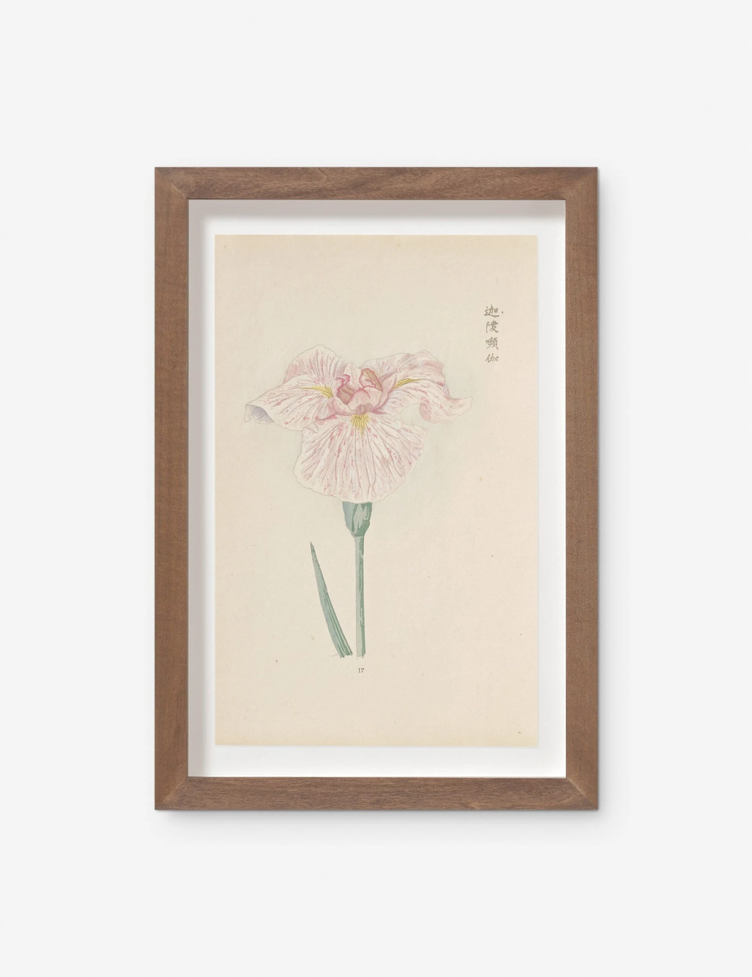 Vintage Japanese Iris No. 17 Wall Art By Miyoshi Manabu