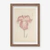 Vintage Japanese Iris No. 18 Wall Art By Miyoshi Manabu