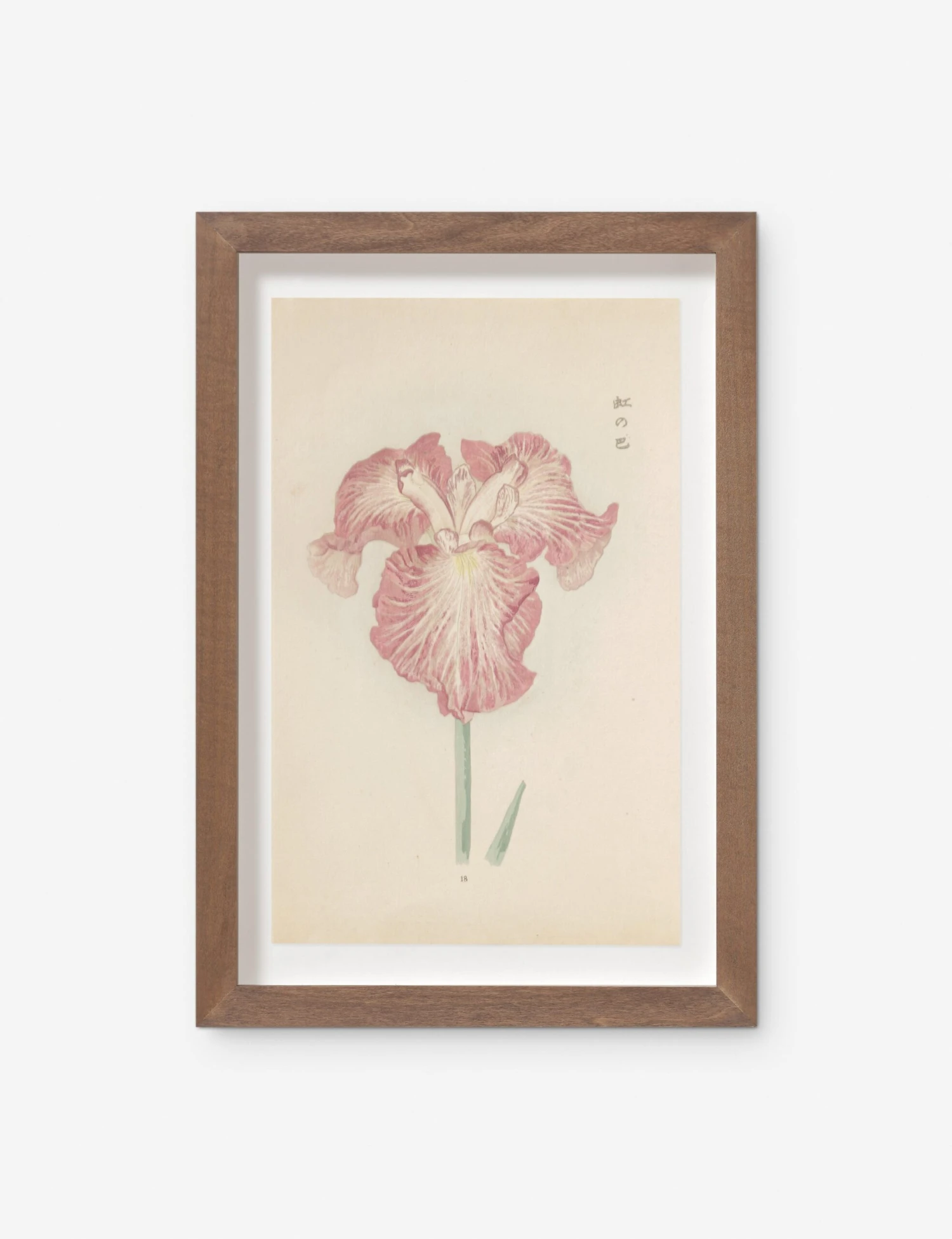 Vintage Japanese Iris No. 18 Wall Art By Miyoshi Manabu