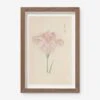 Vintage Japanese Iris No. 20 Wall Art By Miyoshi Manabu