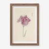 Vintage Japanese Iris No. 24 Wall Art By Miyoshi Manabu
