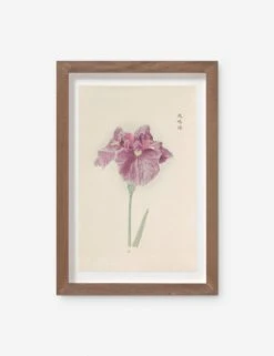 Vintage Japanese Iris No. 24 Wall Art By Miyoshi Manabu