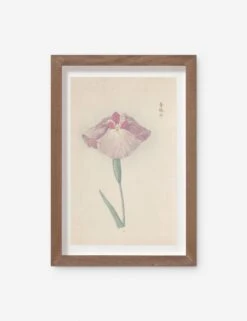 Vintage Japanese Iris No. 25 Wall Art By Miyoshi Manabu