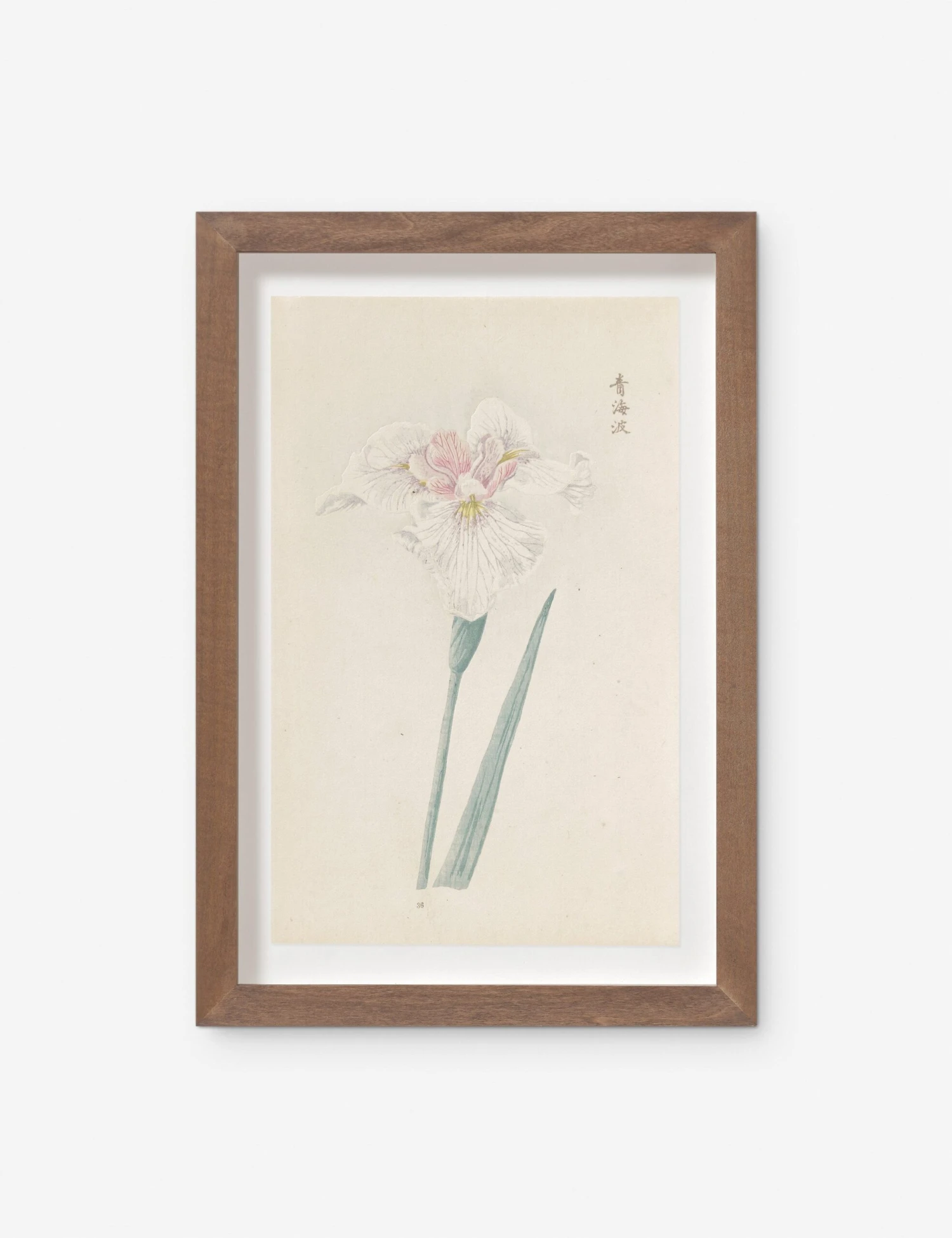 Vintage Japanese Iris No. 36 Wall Art By Miyoshi Manabu