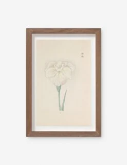 Vintage Japanese Iris No. 43 Wall Art By Miyoshi Manabu