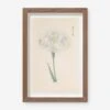 Vintage Japanese Iris No. 44 Wall Art By Miyoshi Manabu