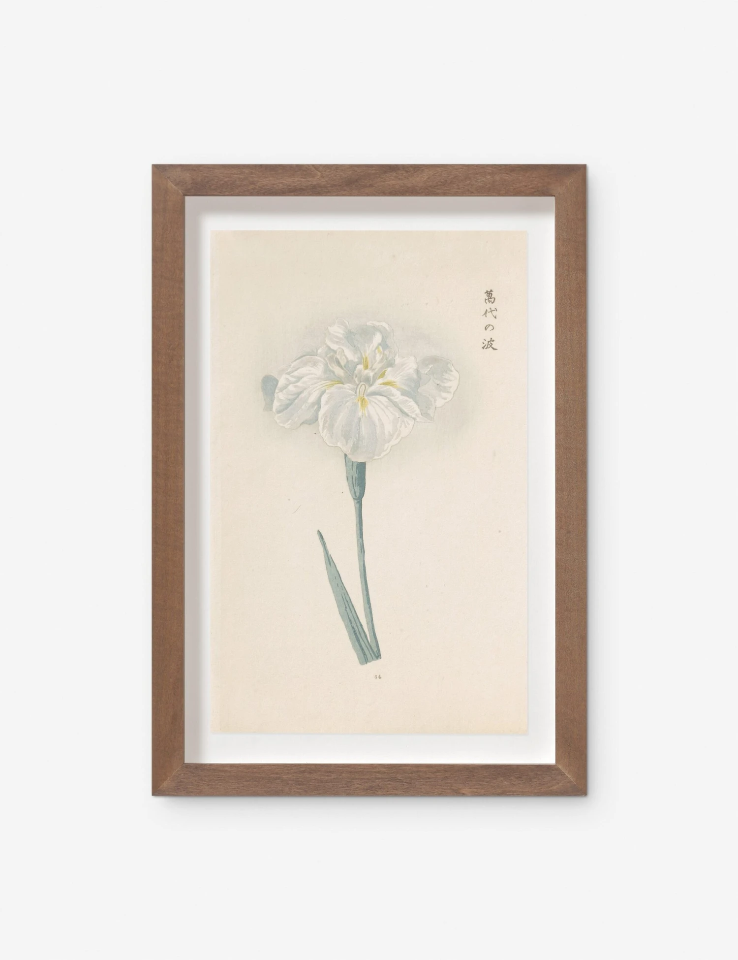 Vintage Japanese Iris No. 44 Wall Art By Miyoshi Manabu