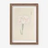 Vintage Japanese Iris No. 48 Wall Art By Miyoshi Manabu