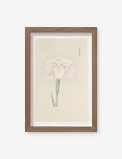 Vintage Japanese Iris No. 48 Wall Art By Miyoshi Manabu