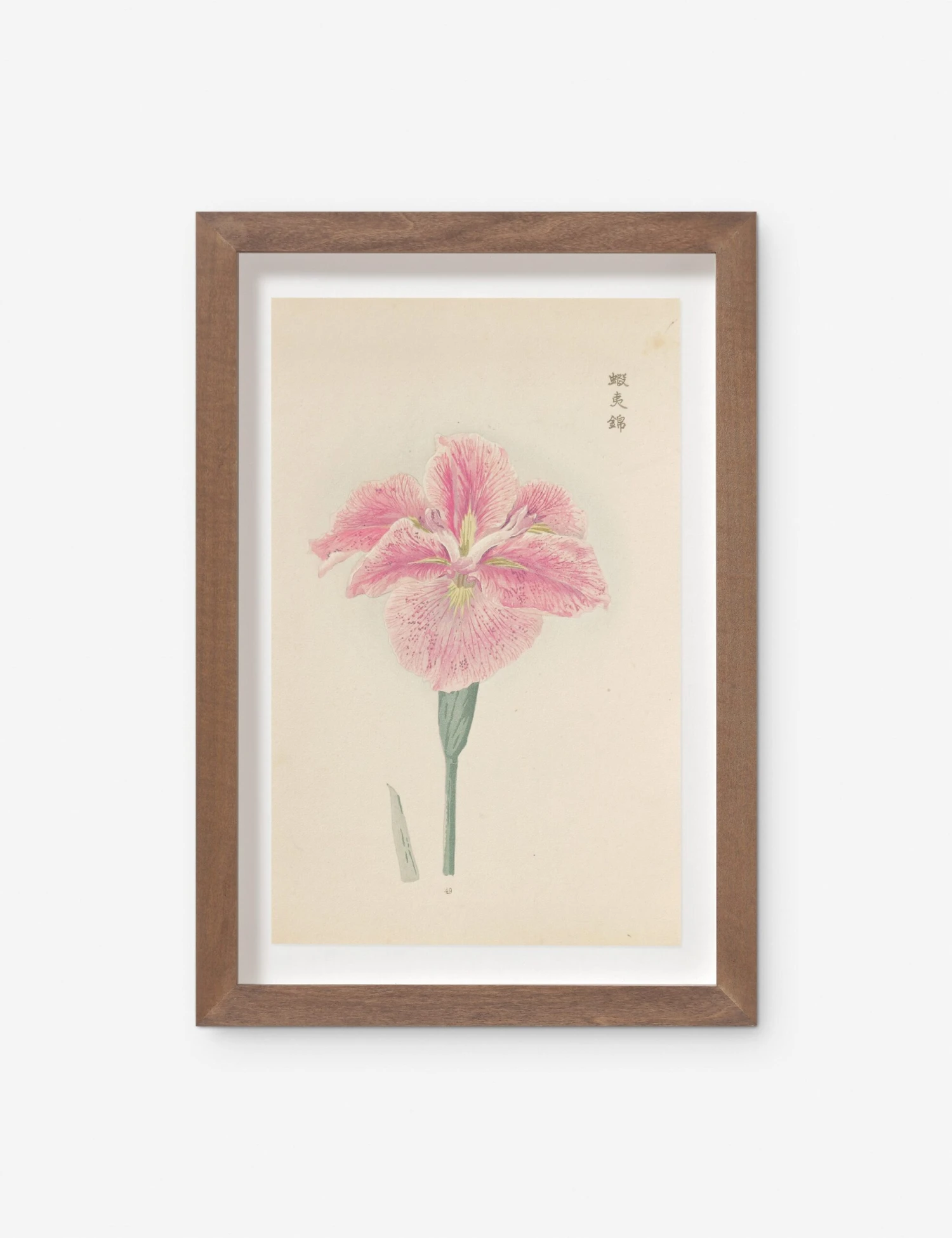 Vintage Japanese Iris No. 49 Wall Art By Miyoshi Manabu