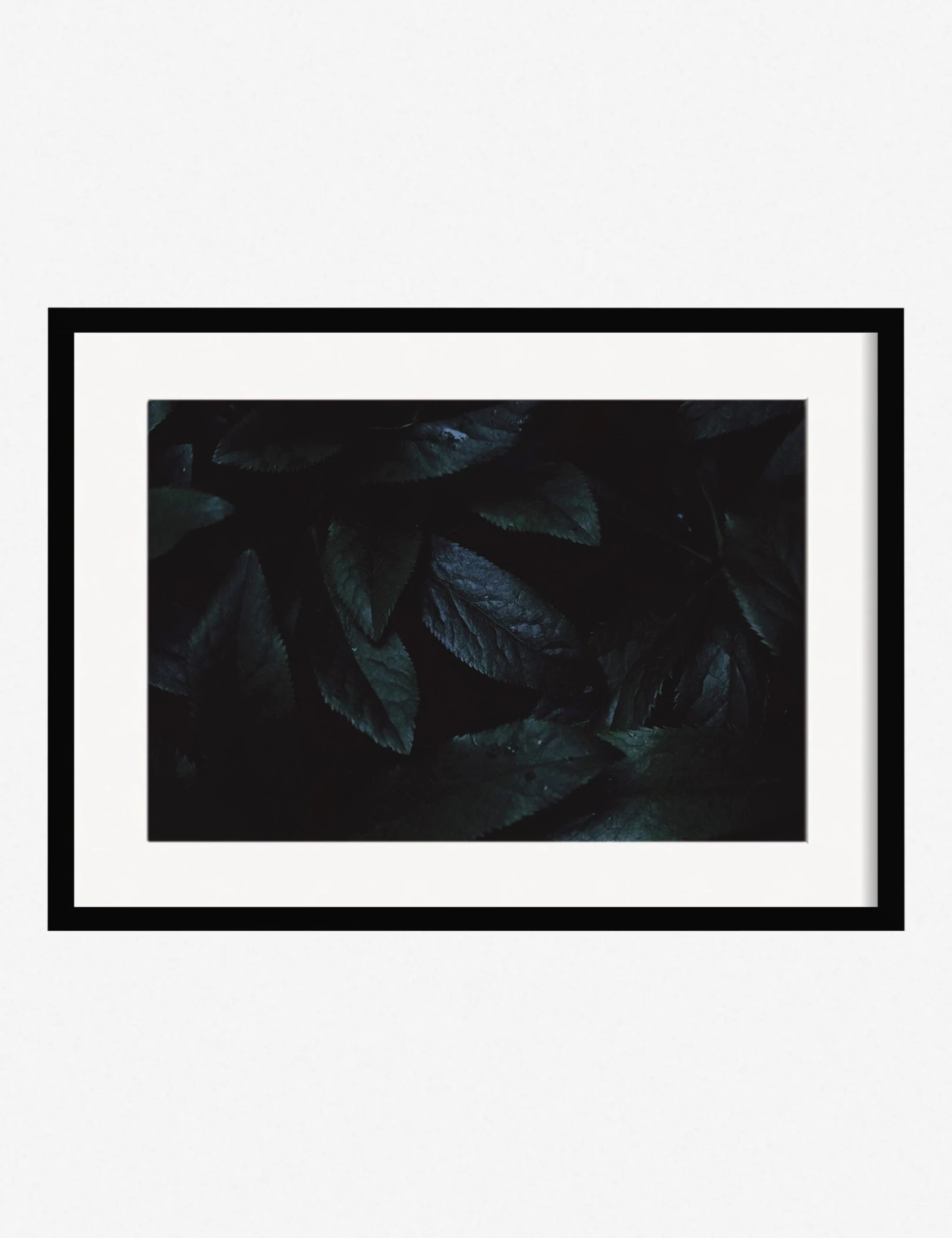 Still Life 3 Photography Print By Ashley Johnson