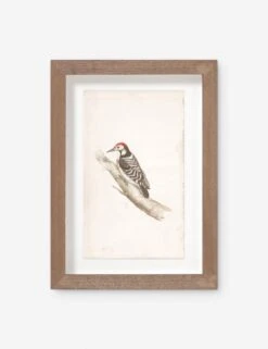 Vintage Bird Watercolor No. 00 Wall Art By Visual Contrast
