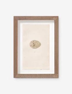 Vintage Bird Watercolor No. 305 Wall Art By Visual Contrast