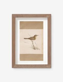 Vintage Bird Watercolor No. 61 Wall Art By Visual Contrast