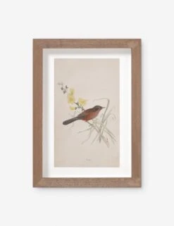 Vintage Bird Watercolor No. 69 Wall Art By Visual Contrast