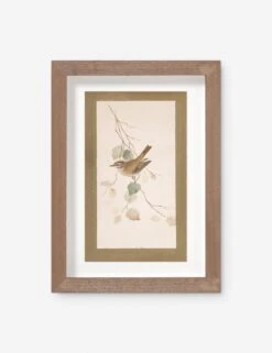 Vintage Bird Watercolor No. 74 Wall Art By Visual Contrast