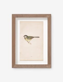 Vintage Bird Watercolor No. 76 Wall Art By Visual Contrast