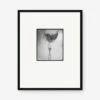 Woman With Chiffon Photography Print By Erwin Blumenfeld