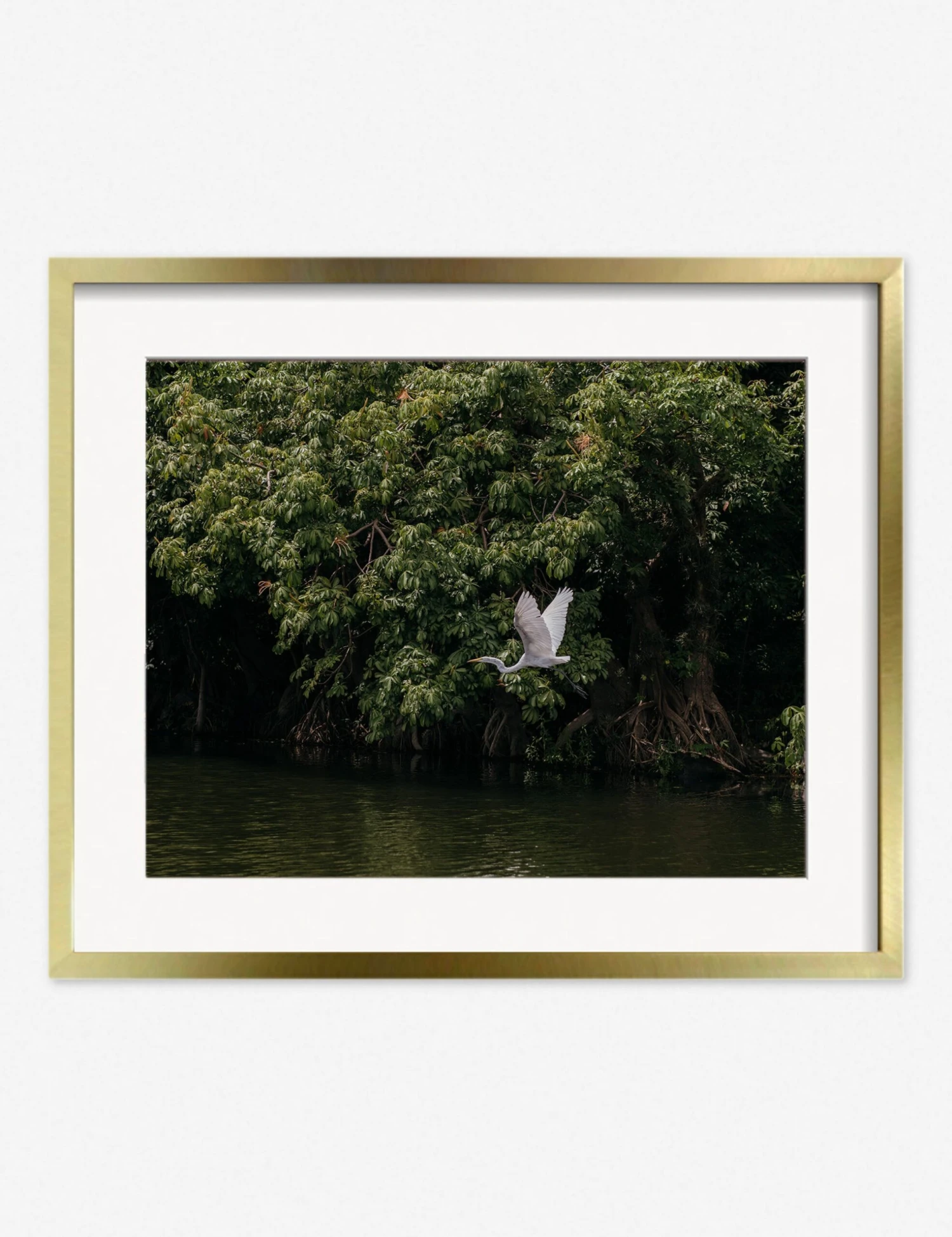 Lake Nicaragua Photography Print By Carley Rudd - Image 6