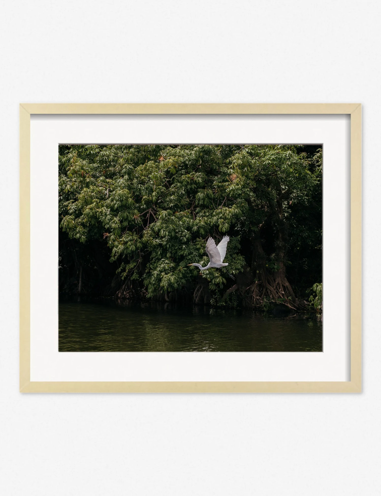 Lake Nicaragua Photography Print By Carley Rudd - Image 7