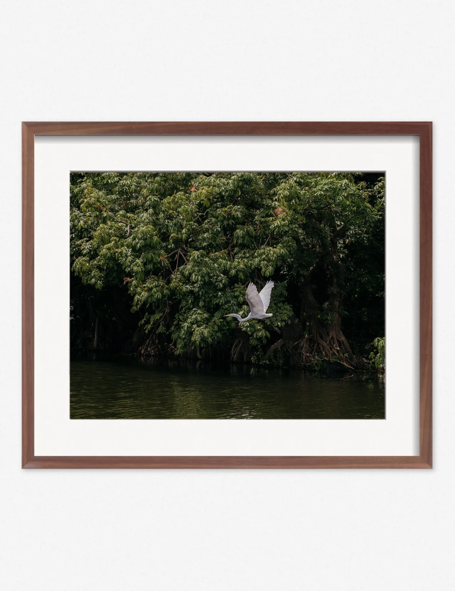 Lake Nicaragua Photography Print By Carley Rudd - Image 4