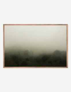 Norcal 10 Photography Print By Flavia Cureteu