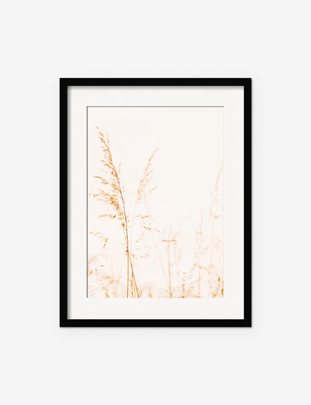 Wild Grass Photography Print By Ingrid Beddoes