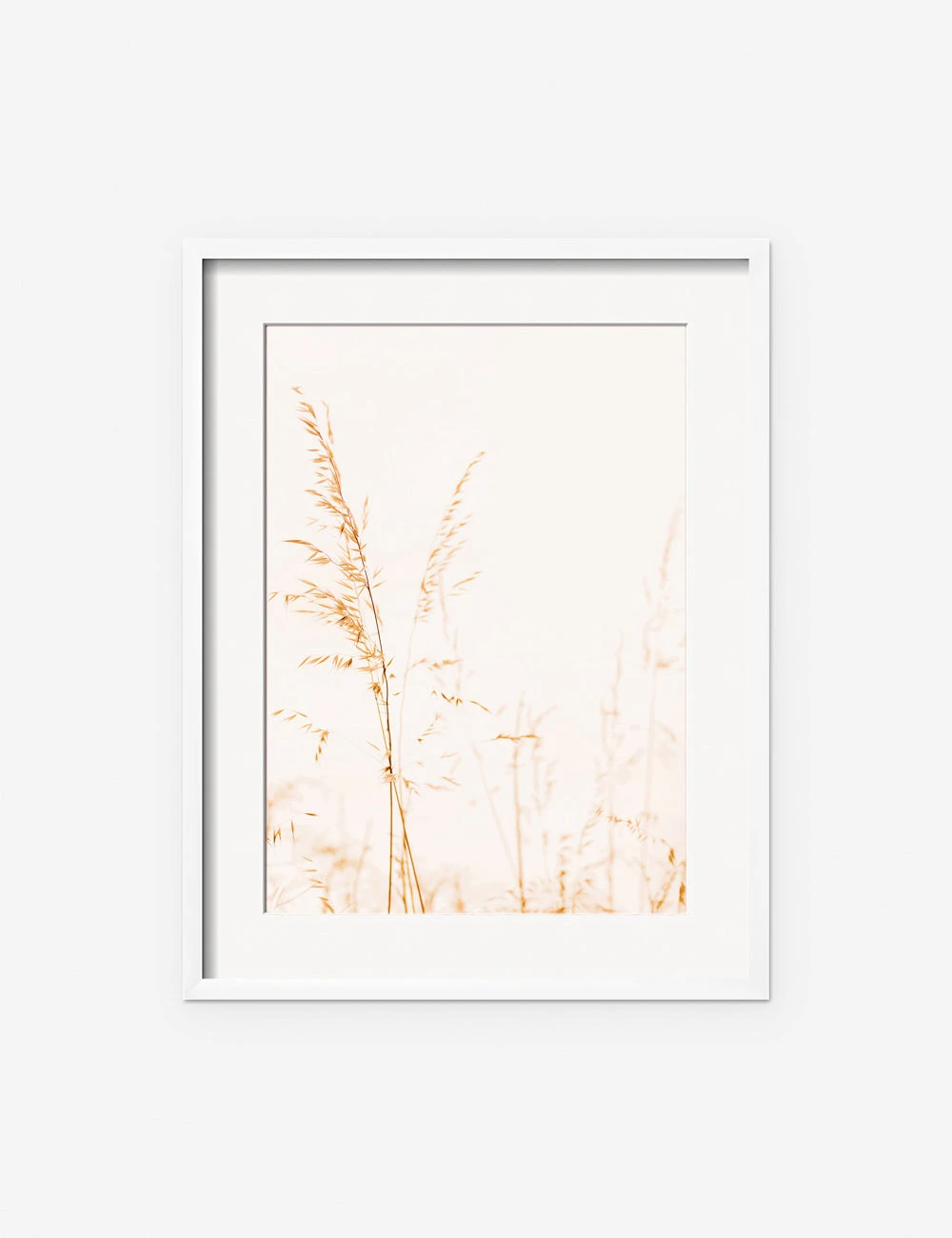 Wild Grass Photography Print By Ingrid Beddoes - Image 6