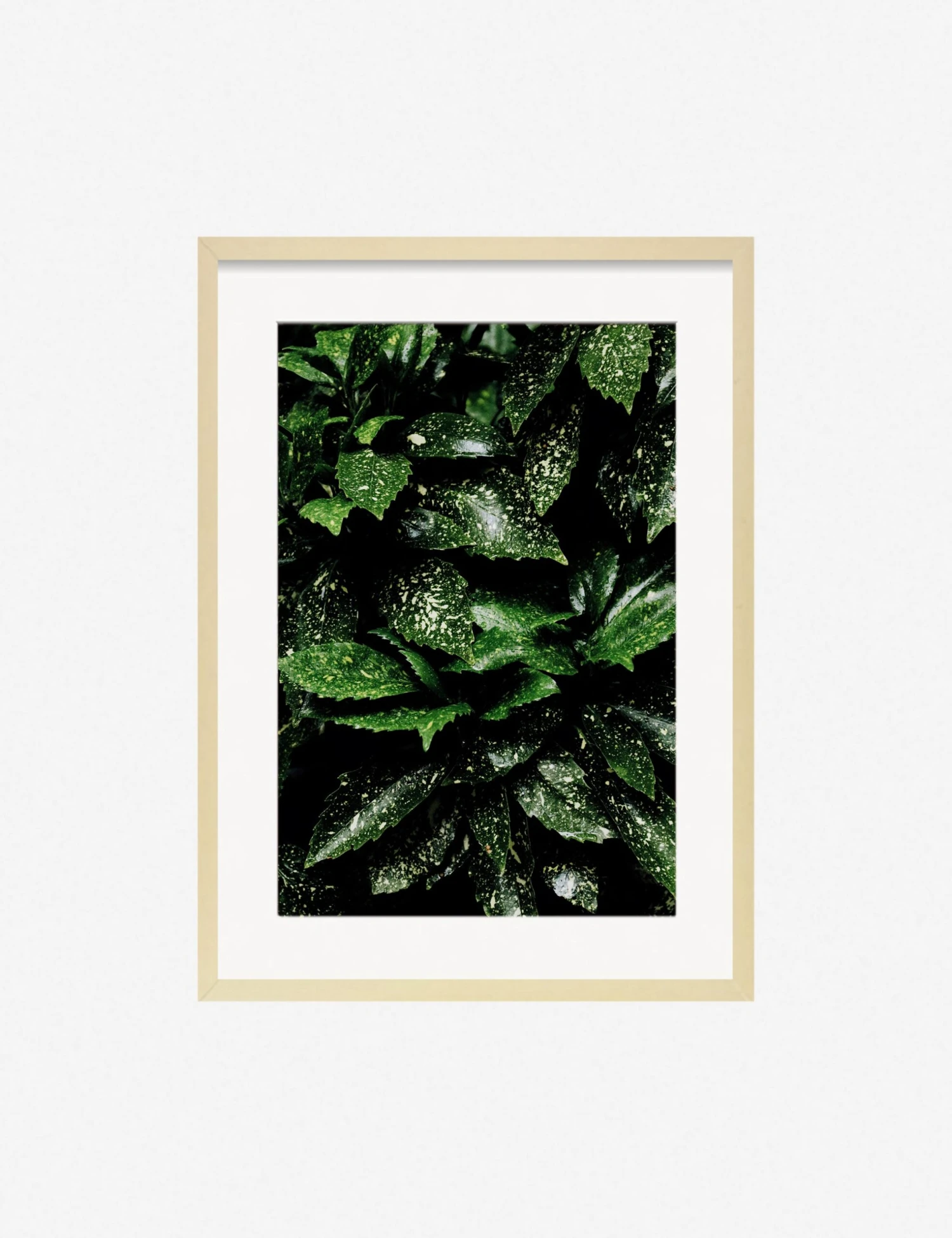 Still Life 7 Photography Print By Ashley Johnson - Image 3