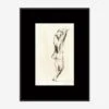 Charcoal Nudes 3 Wall Art By ZBC House