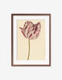 Red And White Tulip Print