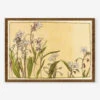 Spring Beauty Print By Hannah Borger Overbeck