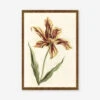 Tulip Print