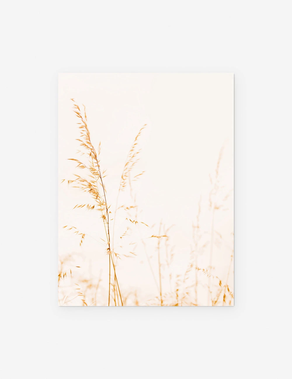 Wild Grass Photography Print By Ingrid Beddoes - Image 7