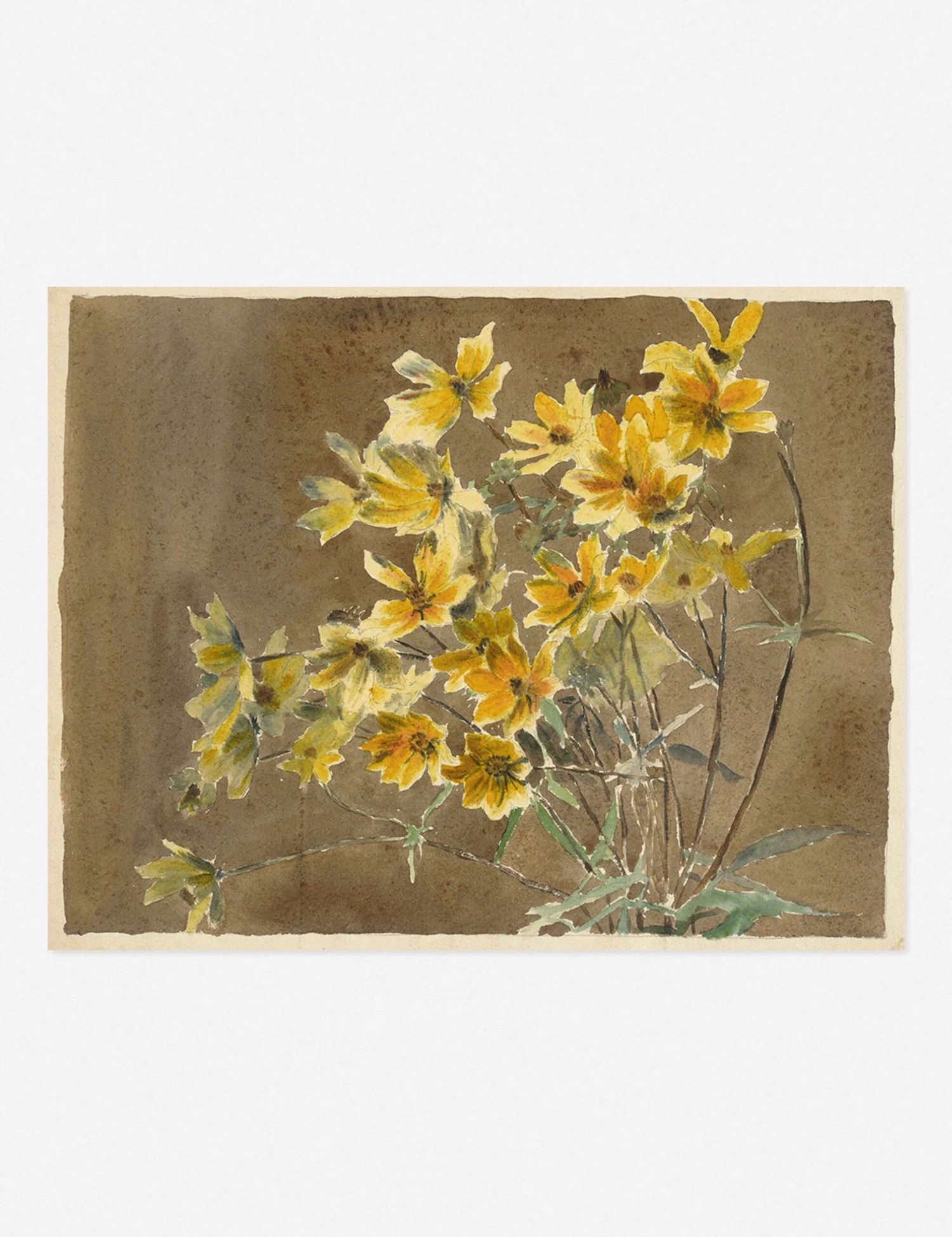 Yellow/Orange Flower With Border Print By Hannah Borger Overbeck - Image 2