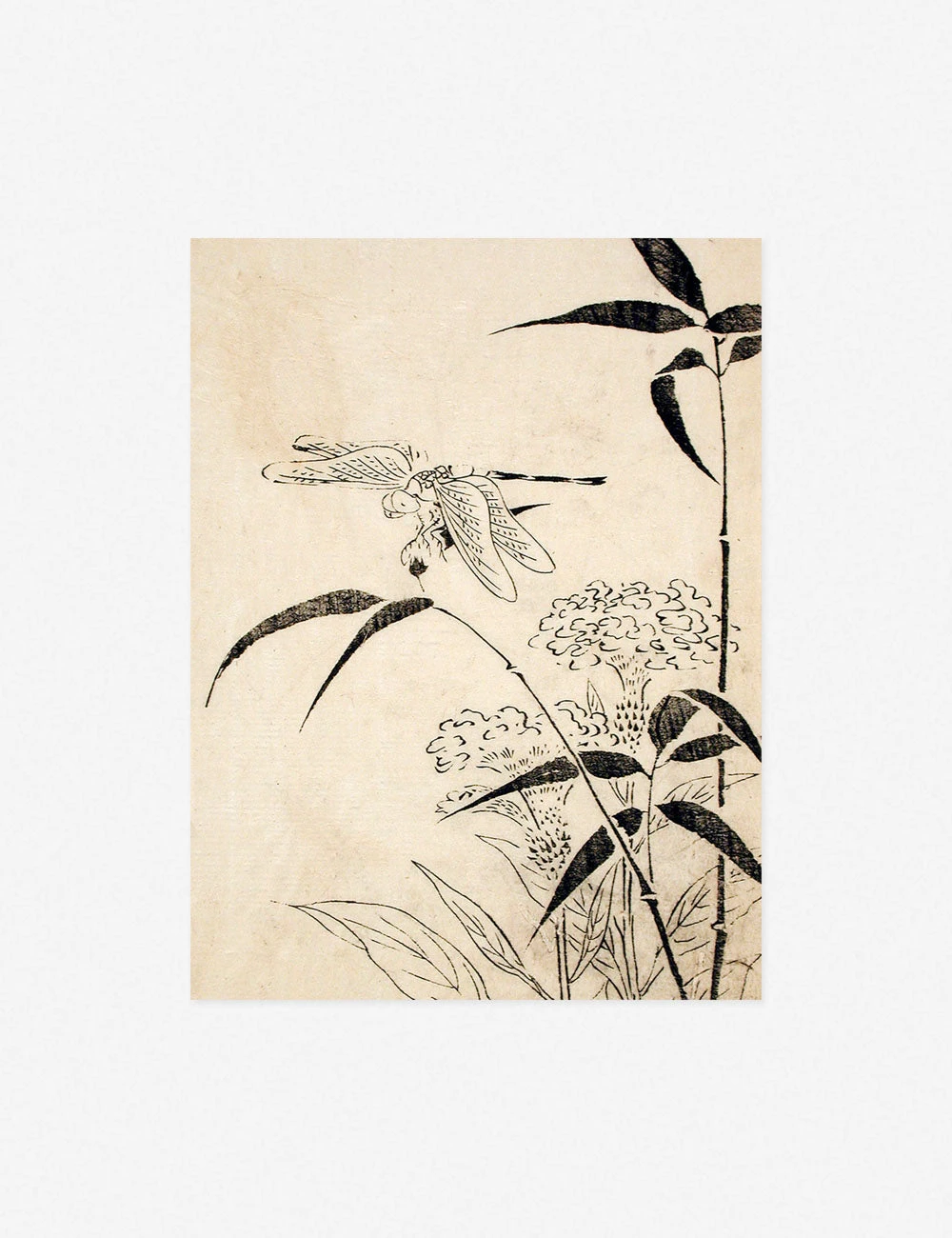 Dragonfly, Coxcomb And Bamboo Print By Miyazaki Yūzen - Image 2