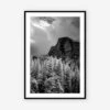 Yosemite National Park Views Photography Print