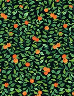 Orange Crush Wallpaper By Nathan Turner